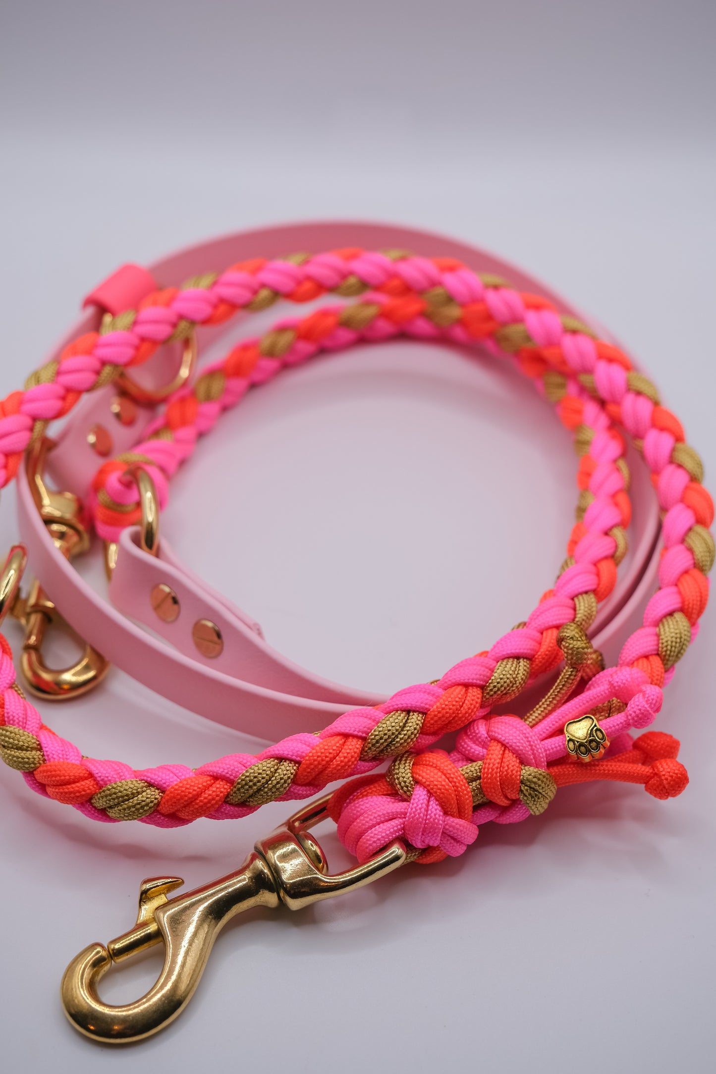 Biothane x Paracord Leine