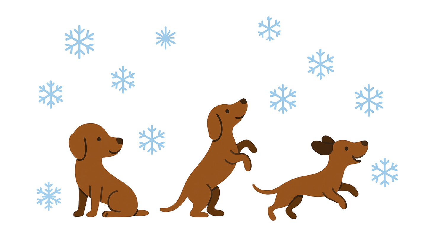 Schneeflocken Hund