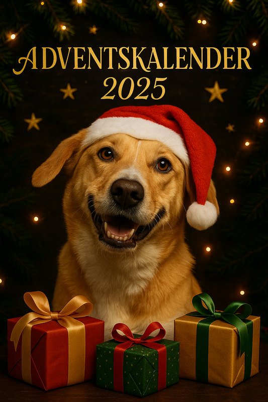 Toffee's Tauwerk Adventskalender 2025 – Für Zwei- und Vierbeiner