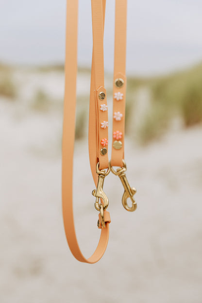 Biothane Halsband "Spring Bloom"