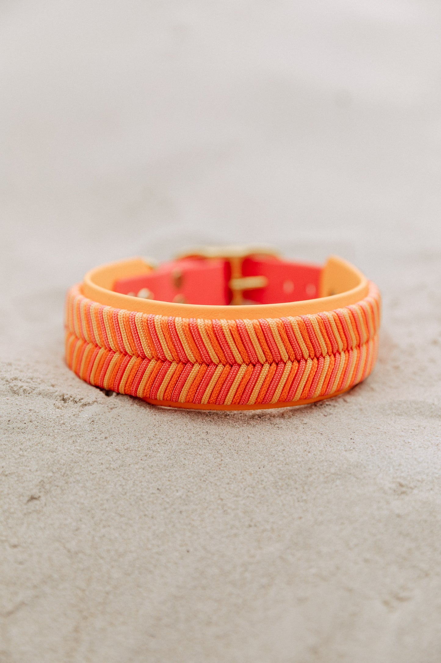 Biothane x Paracord Halsband 