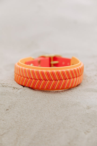 Biothane x Paracord Halsband "June"