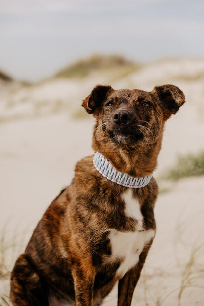 Biothane Halsband "Malin"