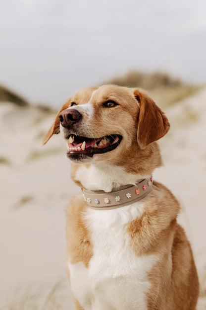 Biothane Halsband "Summer Bloom"