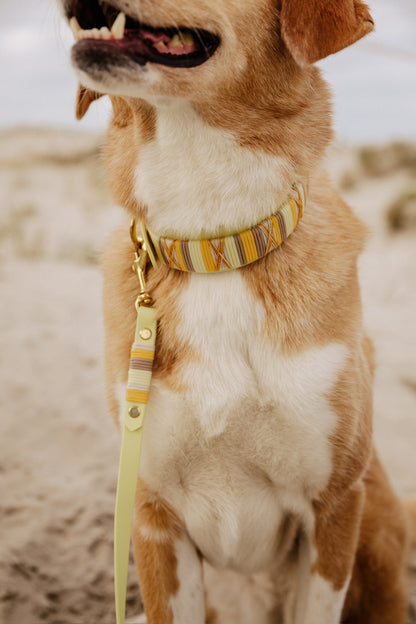 Biothane Leine umtakelt