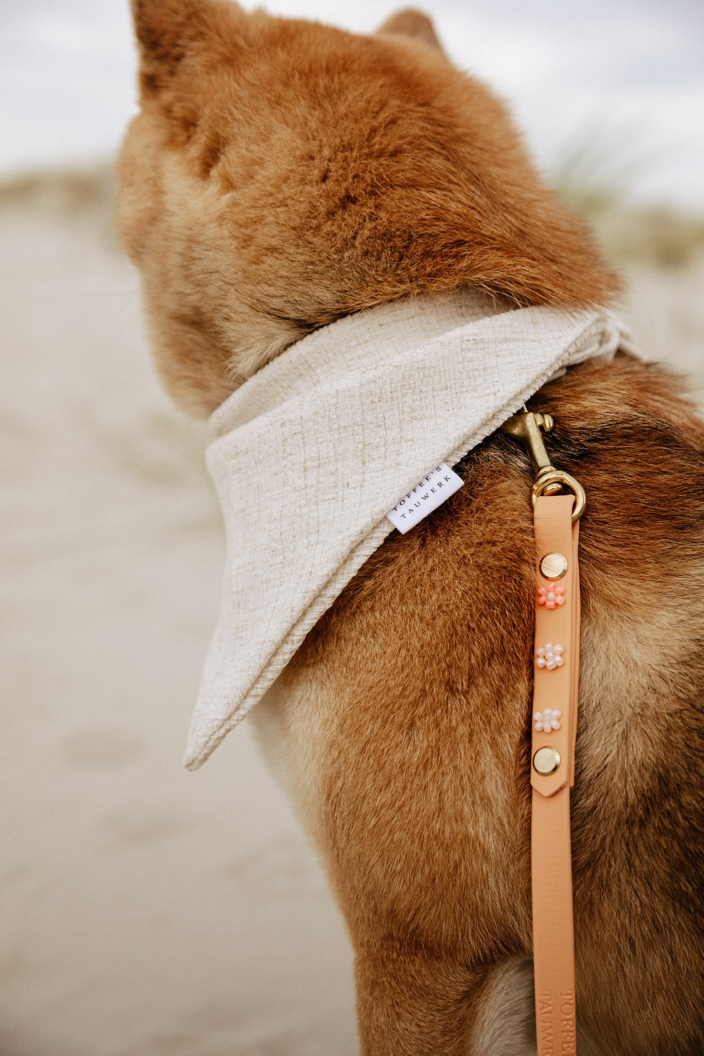 Biothane Leine "Spring Bloom"