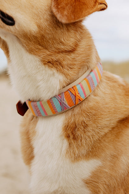Biothane Halsband "Tiana"