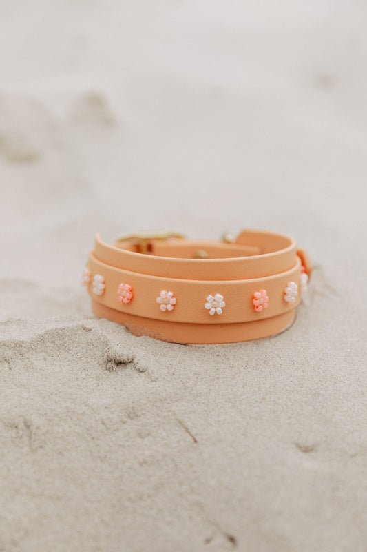 Biothane Halsband "Spring Bloom"