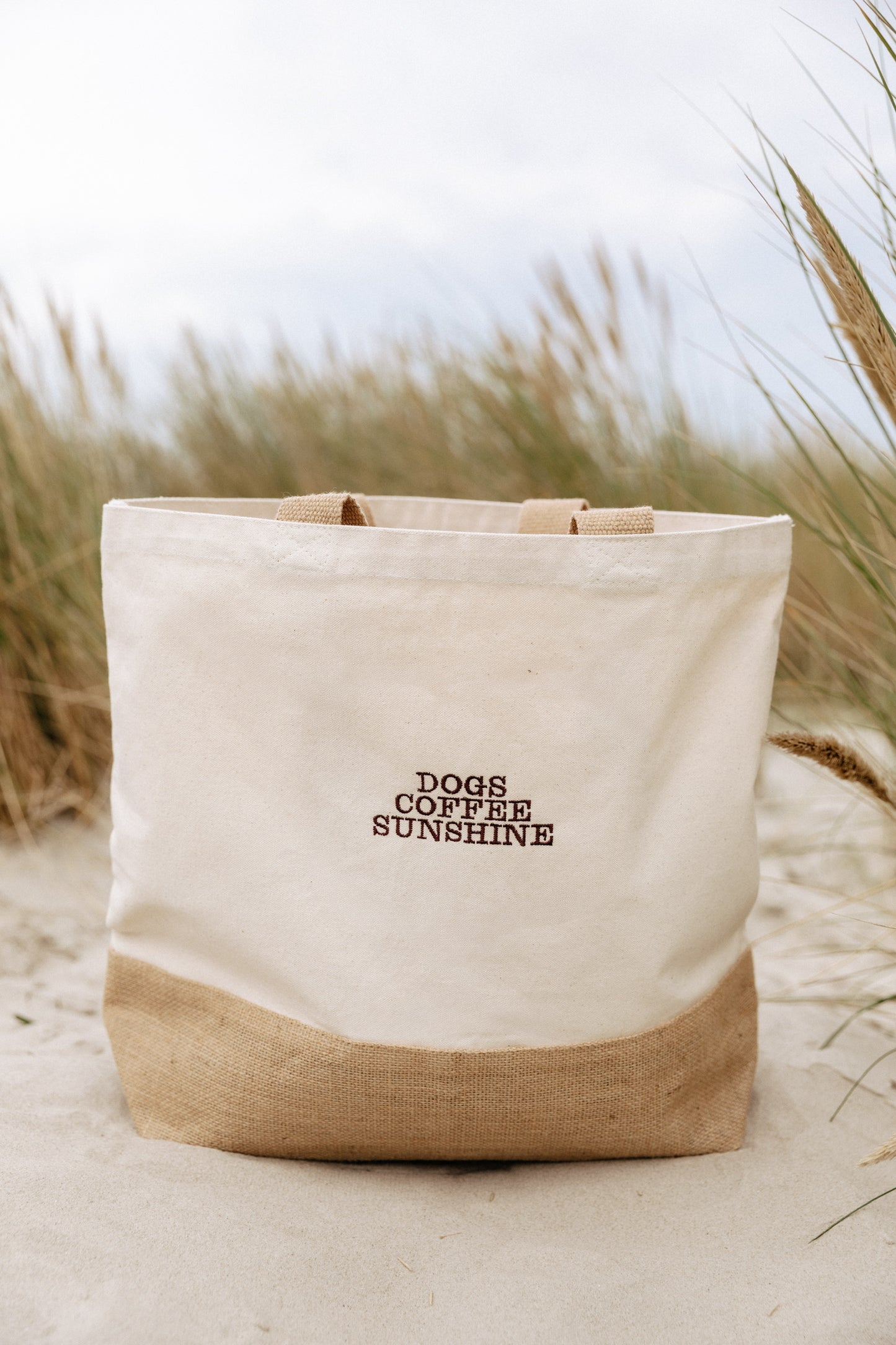 dogs coffee sunshine