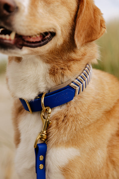 Biothane Halsband "River"