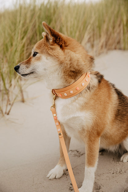 Biothane Halsband "Spring Bloom"