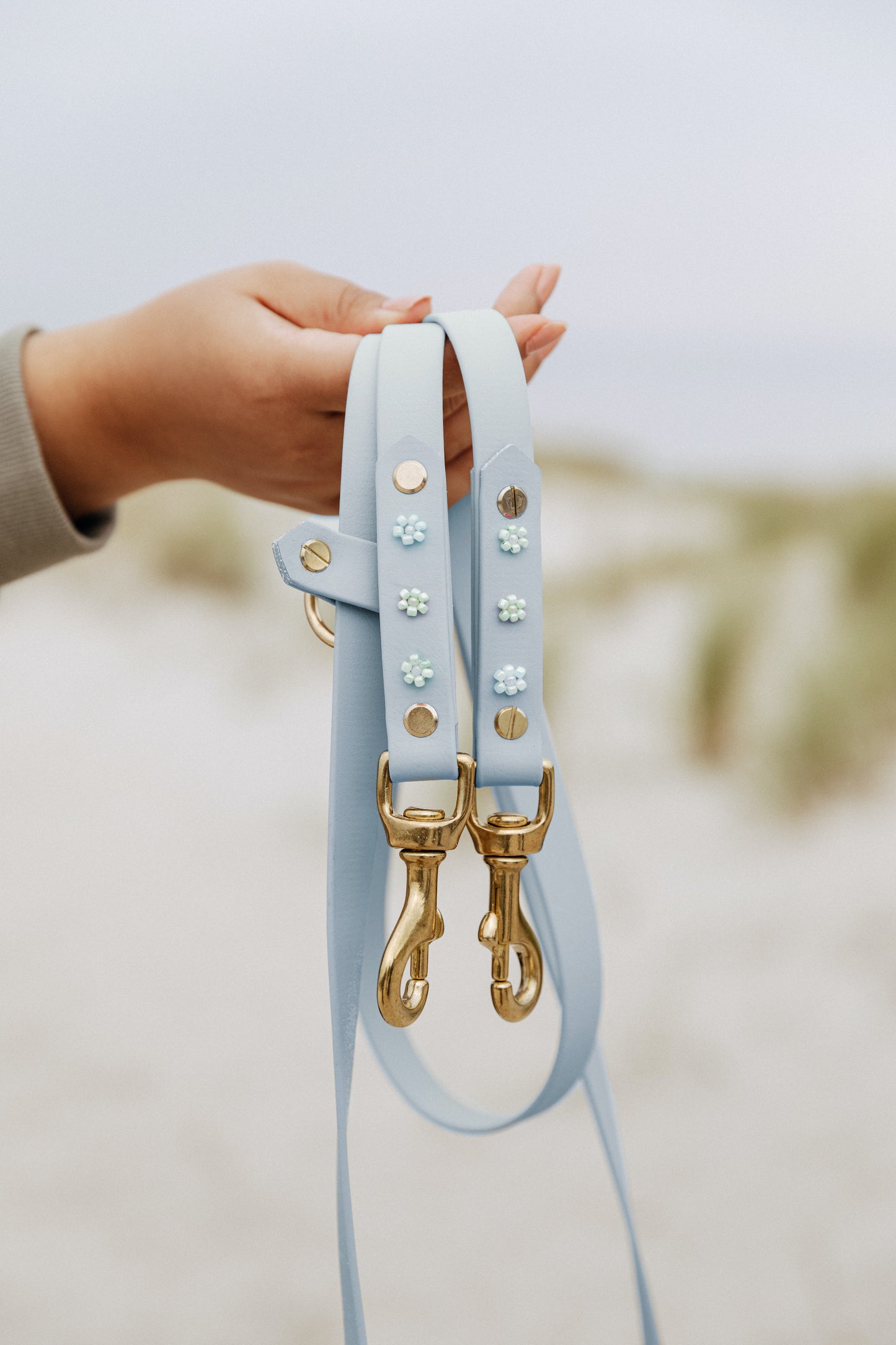 Biothane Leine "Winter Bloom"